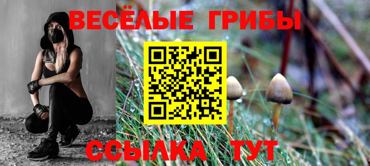 Галлюциногенные грибы мицелий Лыткарино