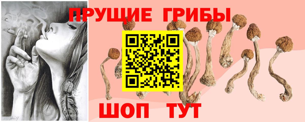 Галлюциногенные грибы Psilocybe  Вход с VPN  Лыткарино 